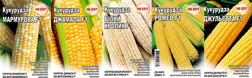 Смачні новинки